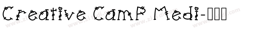 Creative CamP Medi字体转换